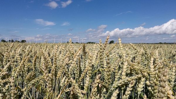 Kaniber fordert in Paris Ernährungssouveränität als Sicherheitsfaktor