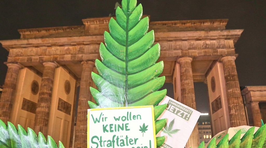 Forscher sehen Fehlentwicklungen bei Cannabis-Teillegalisierung