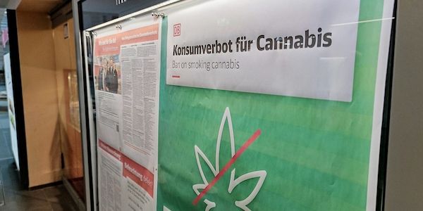 Grüne wollen leichteren Zugang zu Cannabis