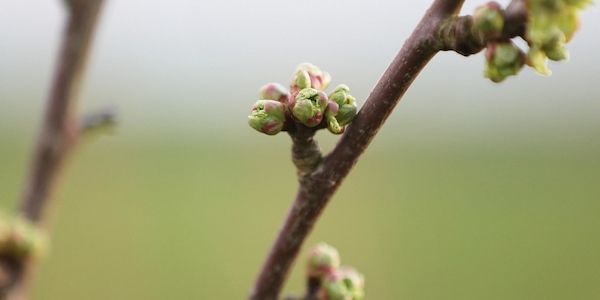 Wetterbericht für Baden-Württemberg (02.04.2026)