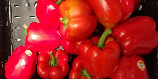 SPD-Wirtschaftsflügel will Mehrwertsteuersenkung für gesundes Essen