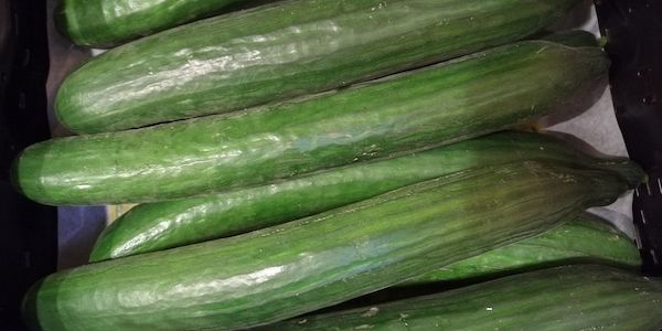 DGB befürwortet Streichung von Mehrwertsteuer auf Lebensmittel