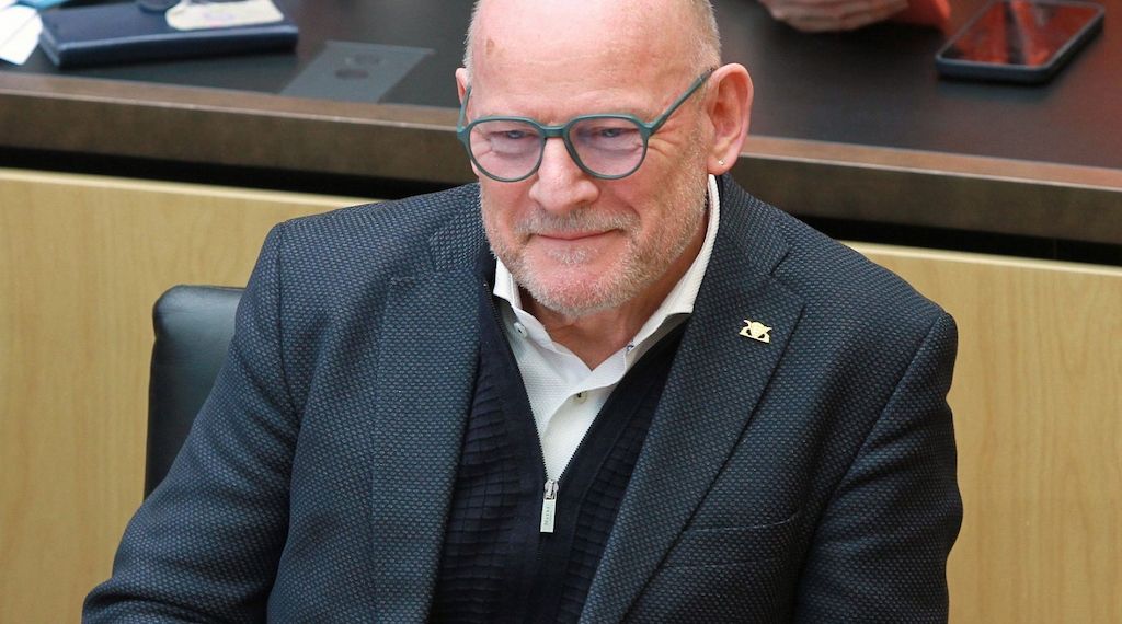 Hermann sieht Pazifisten "in der Minderheit bei den Grünen"