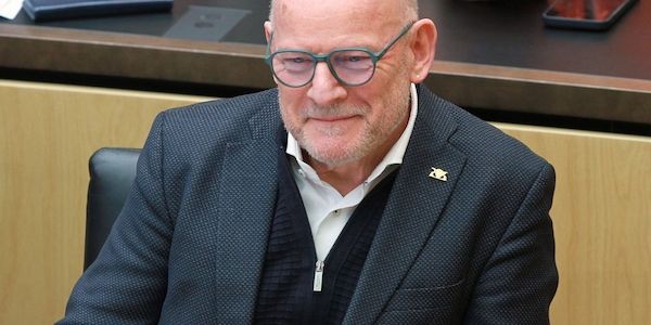 Hermann sieht Pazifisten "in der Minderheit bei den Grünen"