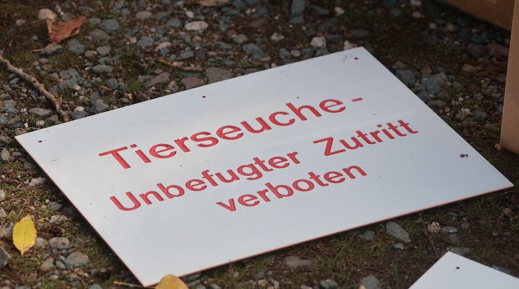 Weiterer Ausbruch der Newcastle-Krankheit in Brandenburg