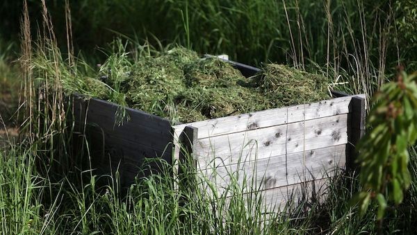 Städtetag fordert bundesweites Nachtfahrverbot für Mähroboter