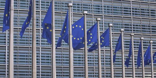 Hofreiter zweifelt an Abschaffung des EU-Einstimmigkeitsprinzips