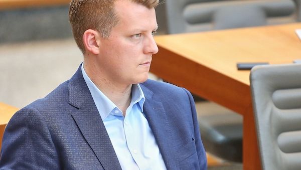 Höne hält an FDP-Vorsitzkandidatur fest