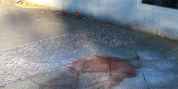 Berliner Polizei: Mann von Blumenkübel erschlagen