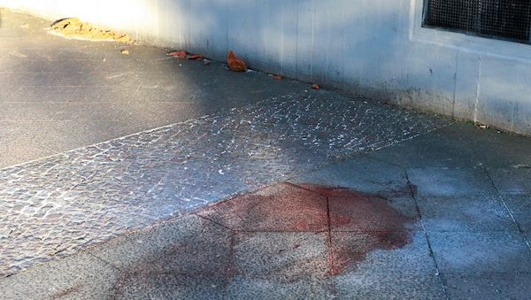 Berliner Polizei: Mann von Blumenkübel erschlagen