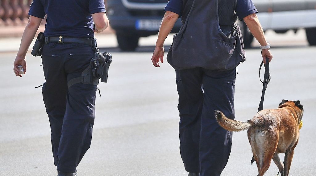 Bundespolizei fehlen Hunderte Sprengstoffhunde