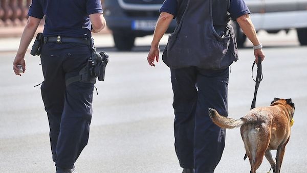 Bundespolizei fehlen Hunderte Sprengstoffhunde
