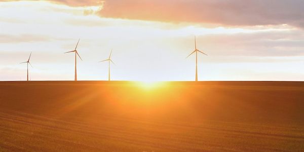 Forsa: Zwei Drittel befürworten Klimaneutralität bis 2045