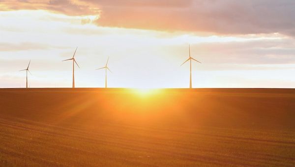 Forsa: Zwei Drittel befürworten Klimaneutralität bis 2045