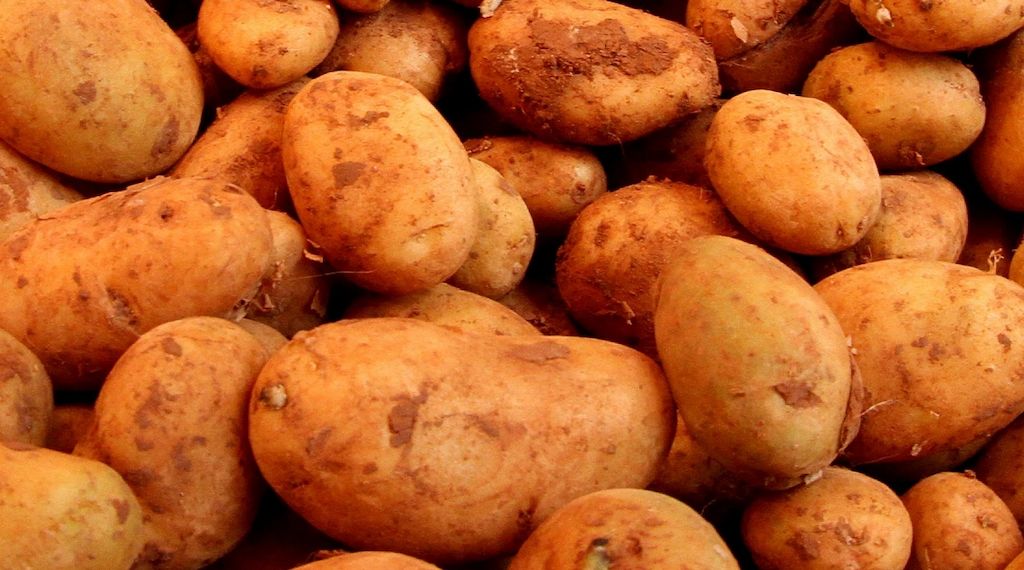 Landwirtschaftliche Erzeugerpreise im Februar deutlich gesunken