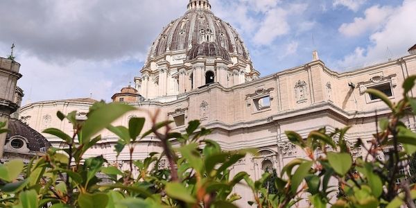 Vatikanexperte sieht Papst als Gegengewicht zu Trump