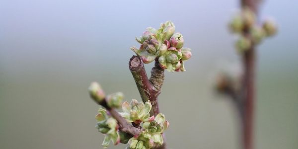 Wetterbericht für Baden-Württemberg (17.04.2026)