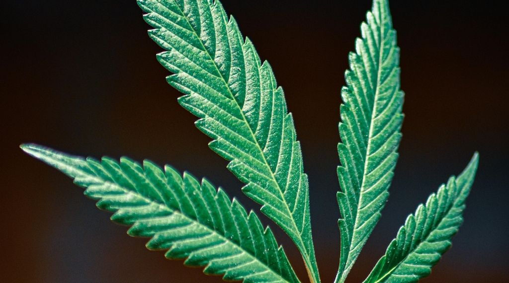 Internationaler Kiffertag: Nicht alles ist erlaubt