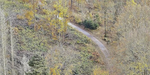 NRW stellt Waldstrategie mit 129 Maßnahmen vor
