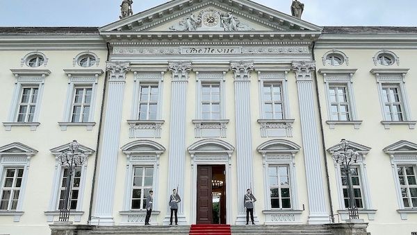 Frösche aus Bellevue-Teich ziehen in Ausweichquartier