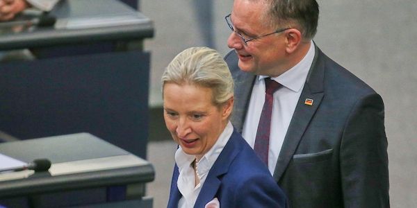 Umfrageinstitut Insa meldet neuen Rekordwert für AfD