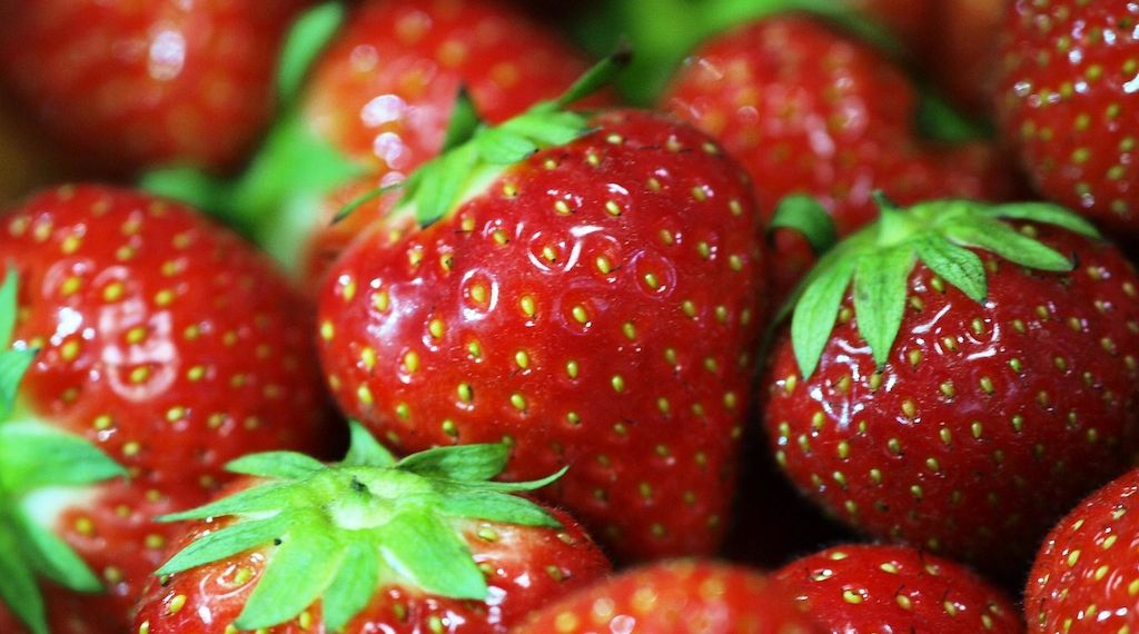 Erdbeerernte in NRW steigt um 5,1 Prozent