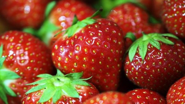 Erdbeerernte in NRW steigt um 5,1 Prozent