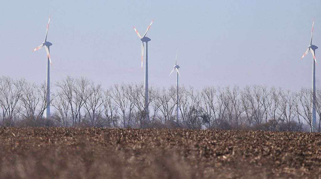 Schneider drängt Koalition zu mehr Unterstützung bei Energiewende