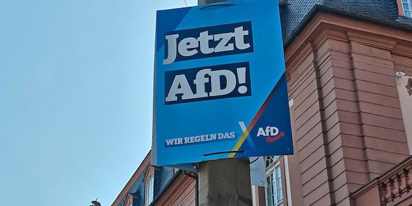 Studie: Subventionen können AfD ausbremsen