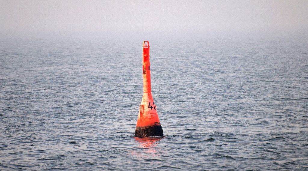 Gestrandeter Buckelwal in der Nordsee freigesetzt