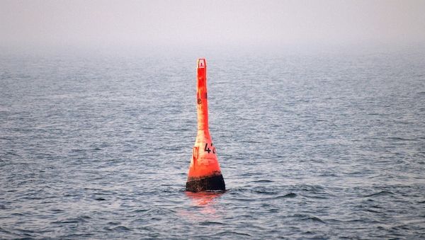 Experten: Buckelwal "mit hoher Wahrscheinlichkeit" tot