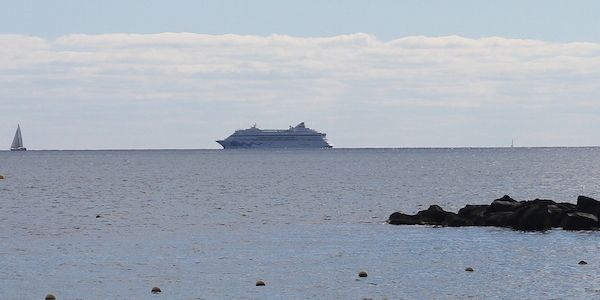 Aida erwartet 2026 stärkeres Kreuzfahrtjahr