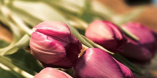 Muttertag: Zwischen Wertschätzung und Verbraucherrechten