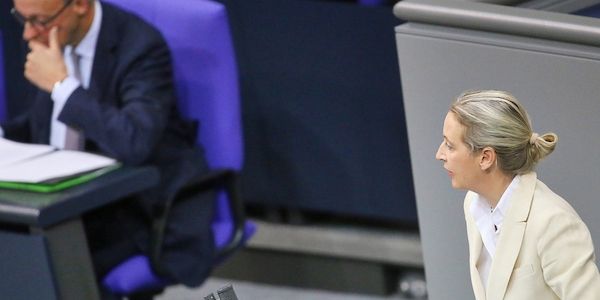 AfD jetzt auch bei Infratest erstmals vor Union