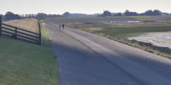 Wetterbericht für Schleswig-Holstein/Hamburg (10.05.2026)
