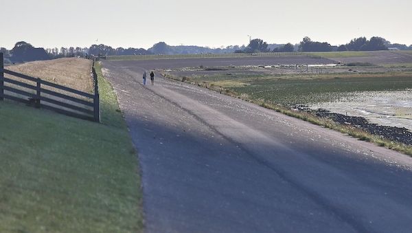 Wetterbericht für Schleswig-Holstein/Hamburg (10.05.2026)
