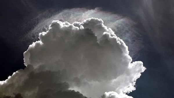 Wetterbericht für Niedersachsen/Bremen (10.05.2026)