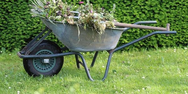 Regeln für Laubenpieper: Sind Übernachtungen im Kleingarten erlaubt?