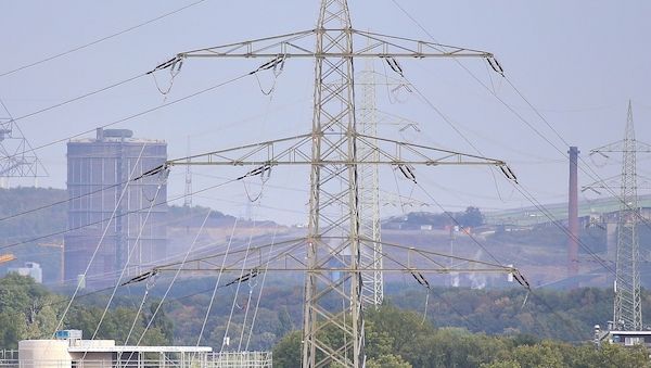 Grüne fordern Senkung der Stromsteuer und lehnen Tankrabatt ab