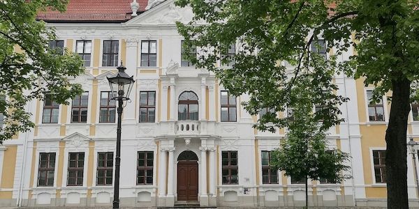 AfD sucht Personal für Alleinregierung in Sachsen-Anhalt