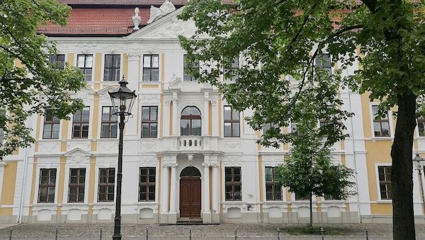 AfD sucht Personal für Alleinregierung in Sachsen-Anhalt