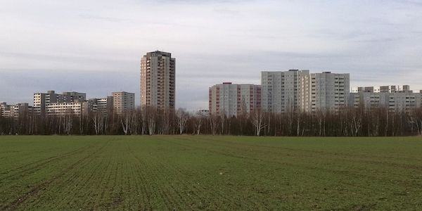 Frau beschädigt Wahlplakat und bedroht Personen mit Holzlatte