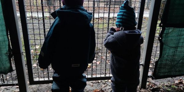 Grüne und Linke kritisieren Sparpläne im Bildungs- und Sozialetat