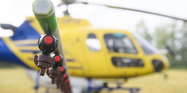 Hubschraubereinsatz gegen giftige Raupen startet in Prignitz