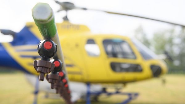 Hubschraubereinsatz gegen giftige Raupen startet in Prignitz
