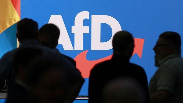 Polizeigewerkschaften warnen vor AfD-Zugriff auf Sicherheitsdaten