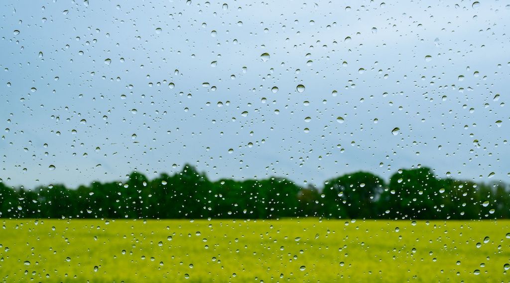 Erst Gewitter und Regen, dann bis zu 26 Grad