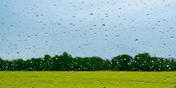 Erst Gewitter und Regen, dann bis zu 26 Grad