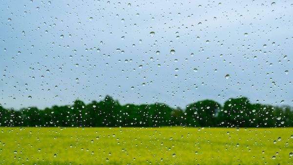 Erst Gewitter und Regen, dann bis zu 26 Grad