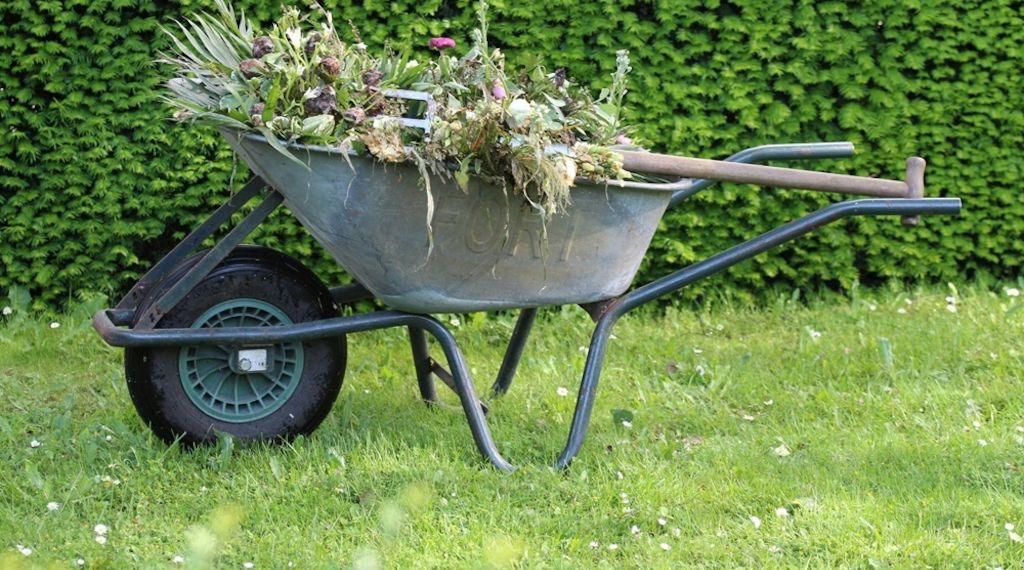 Tag der Nachbarschaft: Was im Garten erlaubt ist